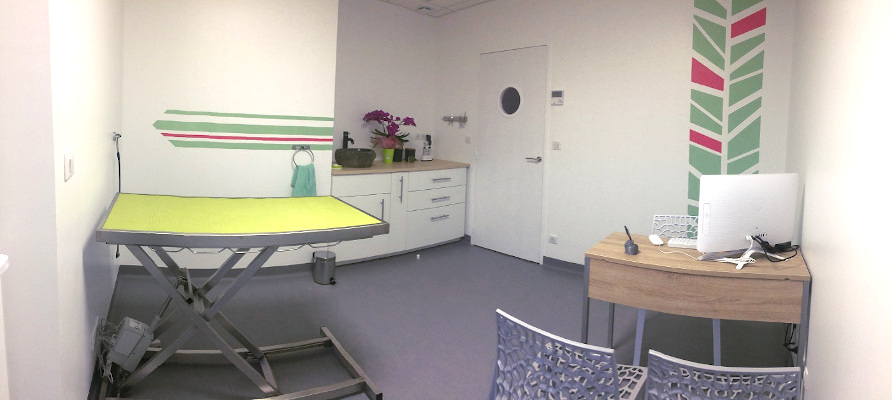 salle consultation chien