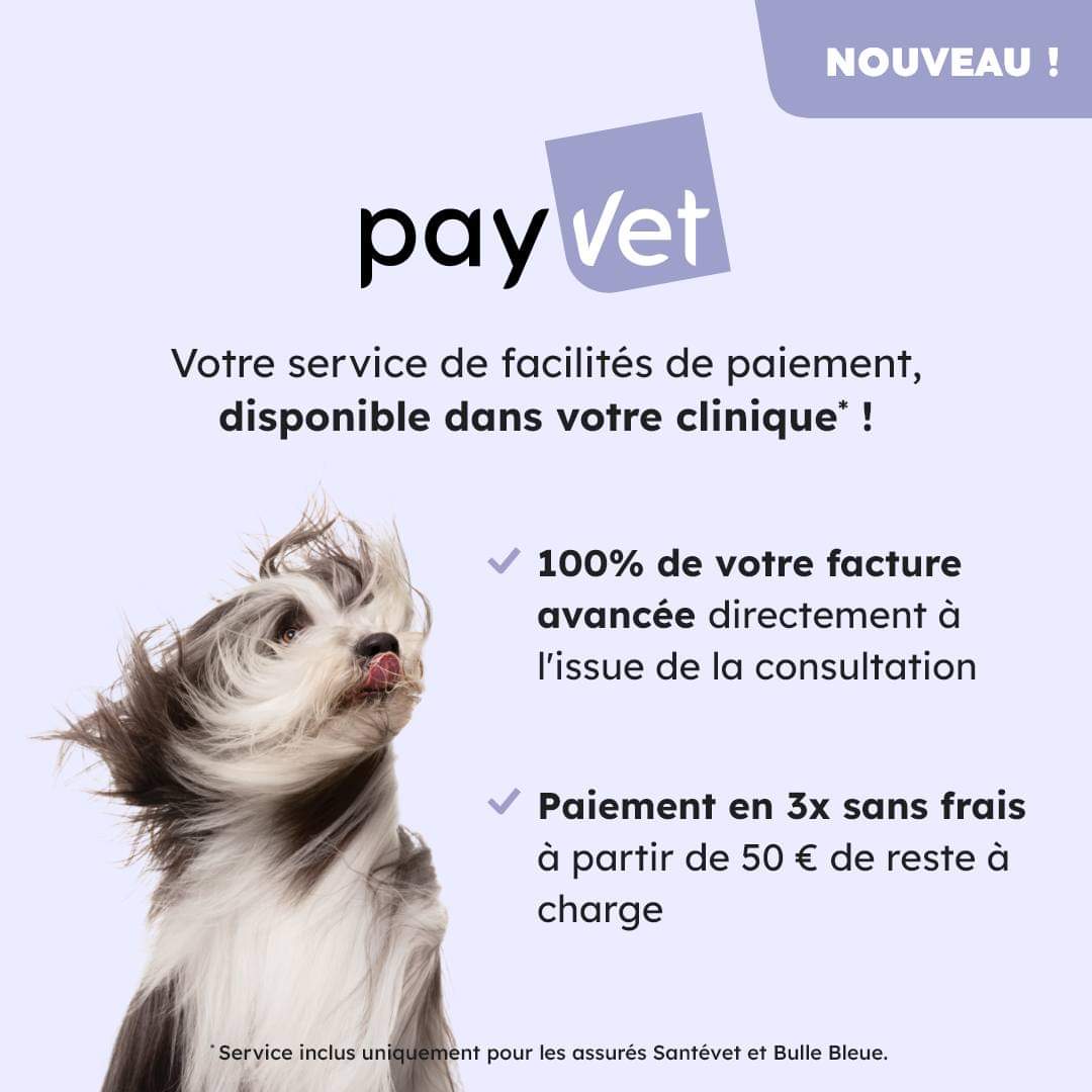 Payvet